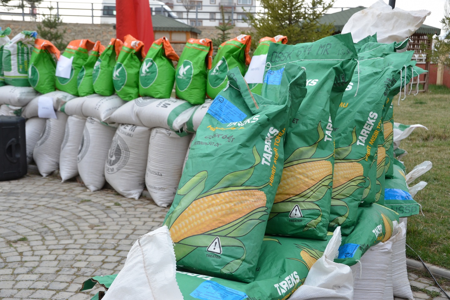 Gümüşhane’de çiftçilere 102,3 ton yem bitkisi tohumu dağıtıldı 38