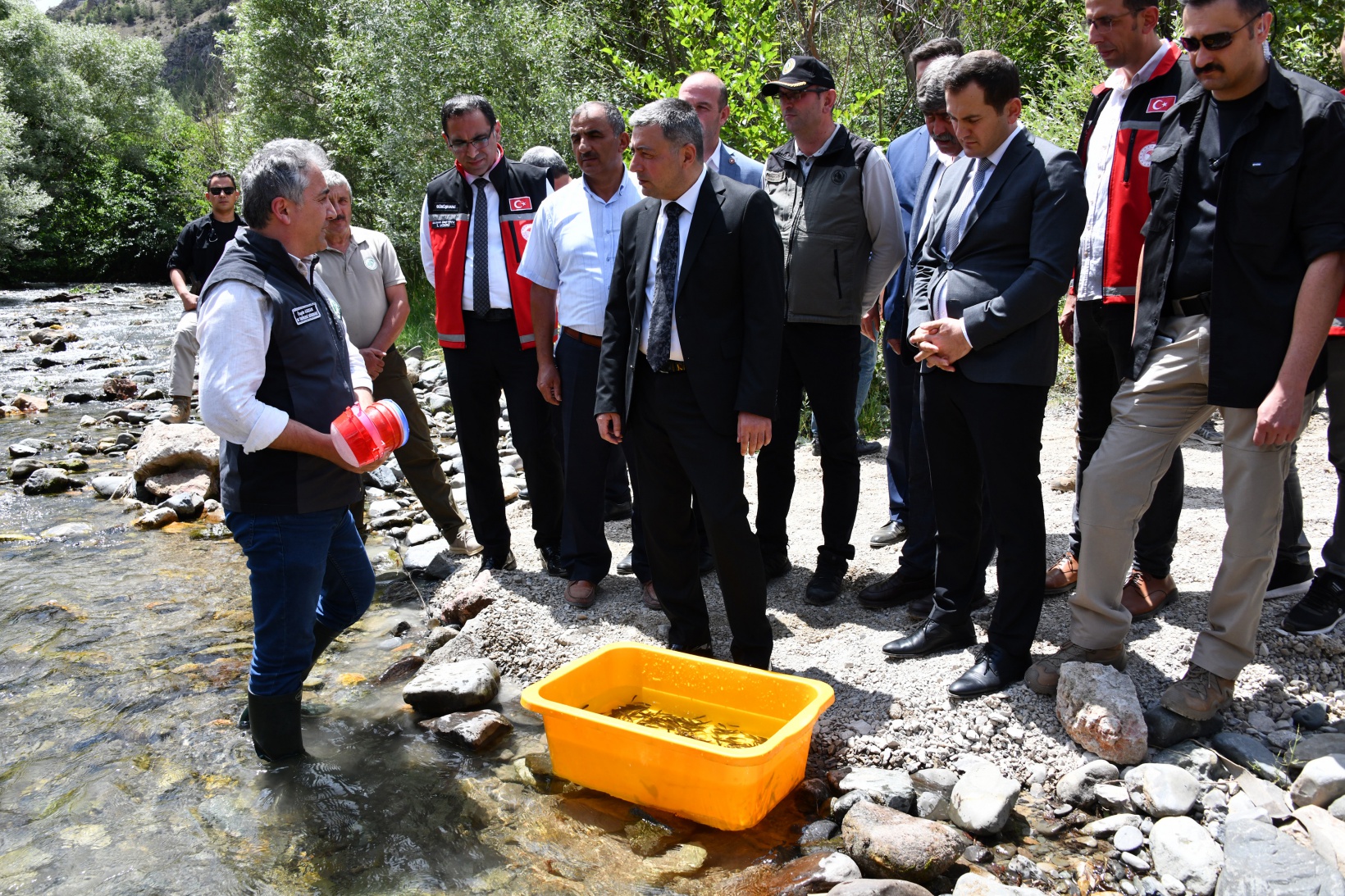 Gümüşhane’de derelere alabalık salındı 11