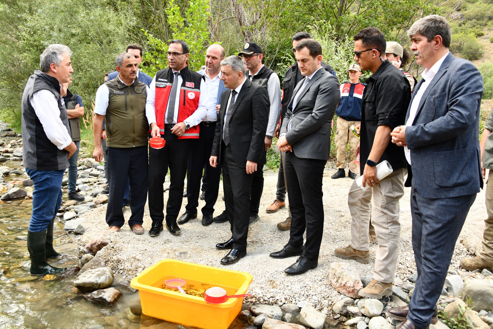 Gümüşhane’de derelere alabalık salındı 8