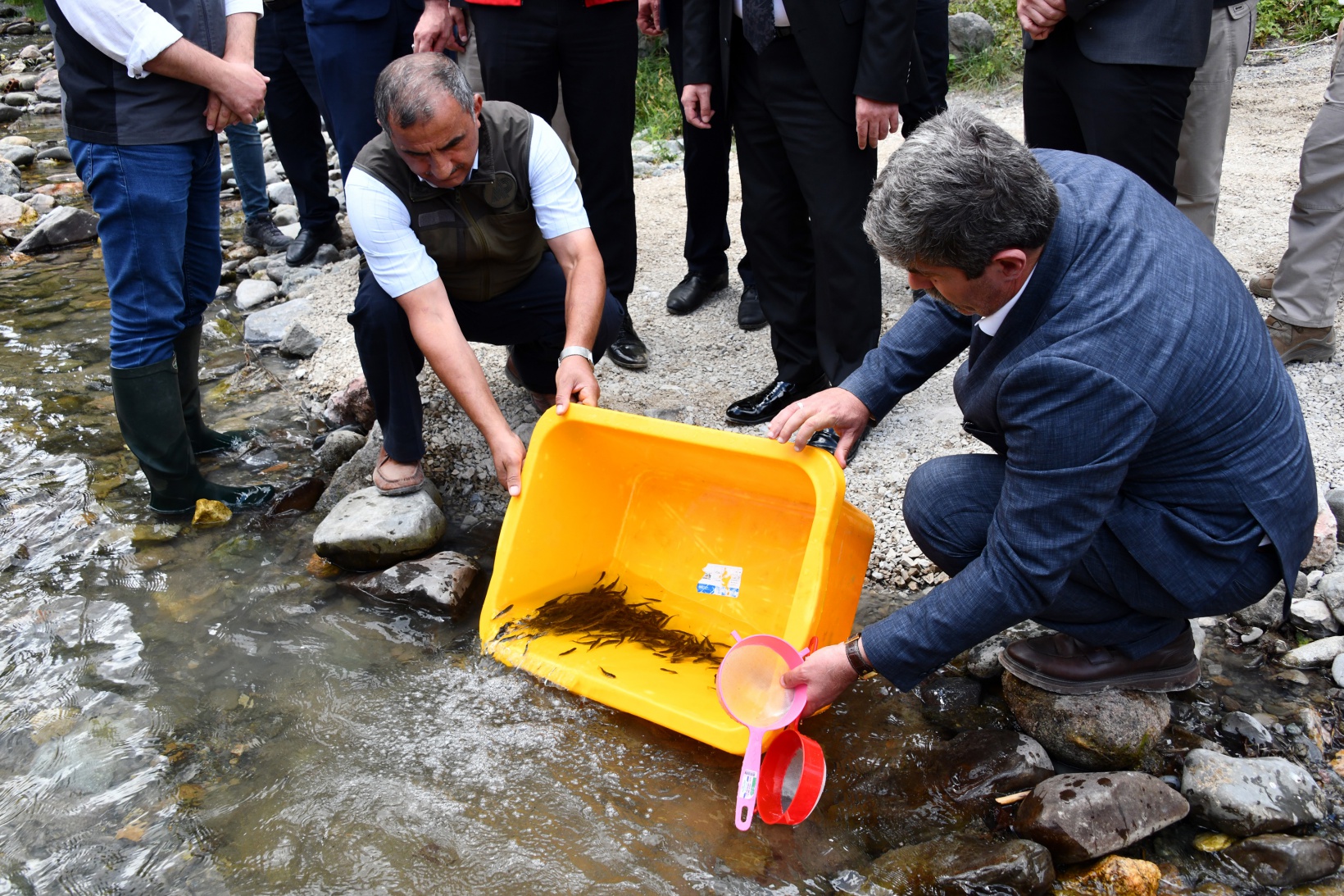 Gümüşhane’de derelere alabalık salındı 6