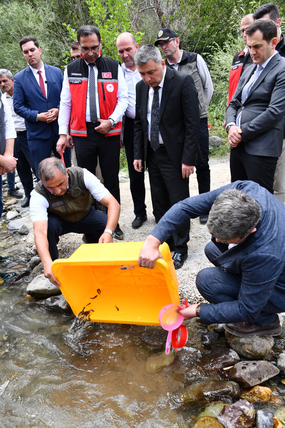 Gümüşhane’de derelere alabalık salındı 9