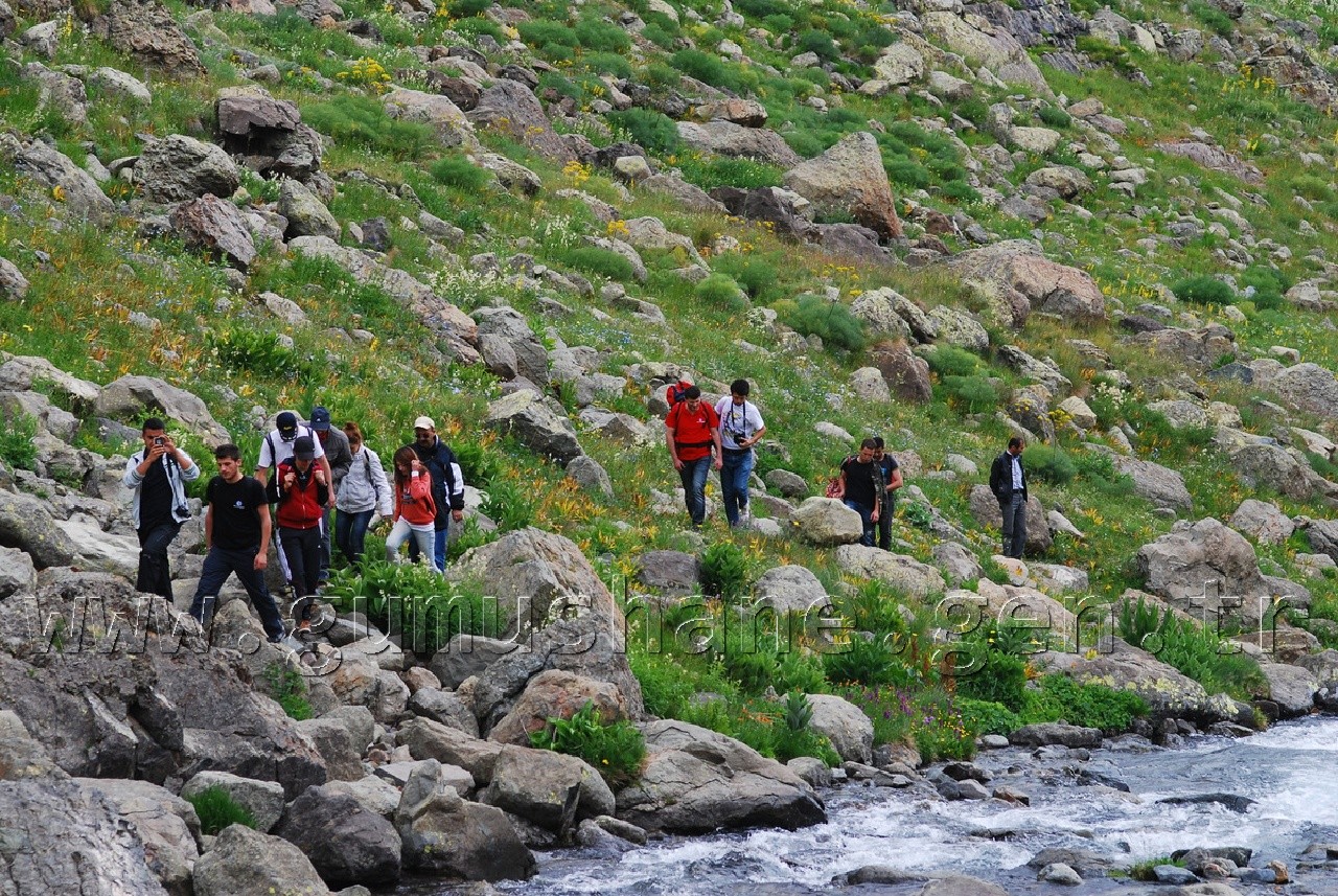 Akademisyenlerin Artabel İlgisi 7