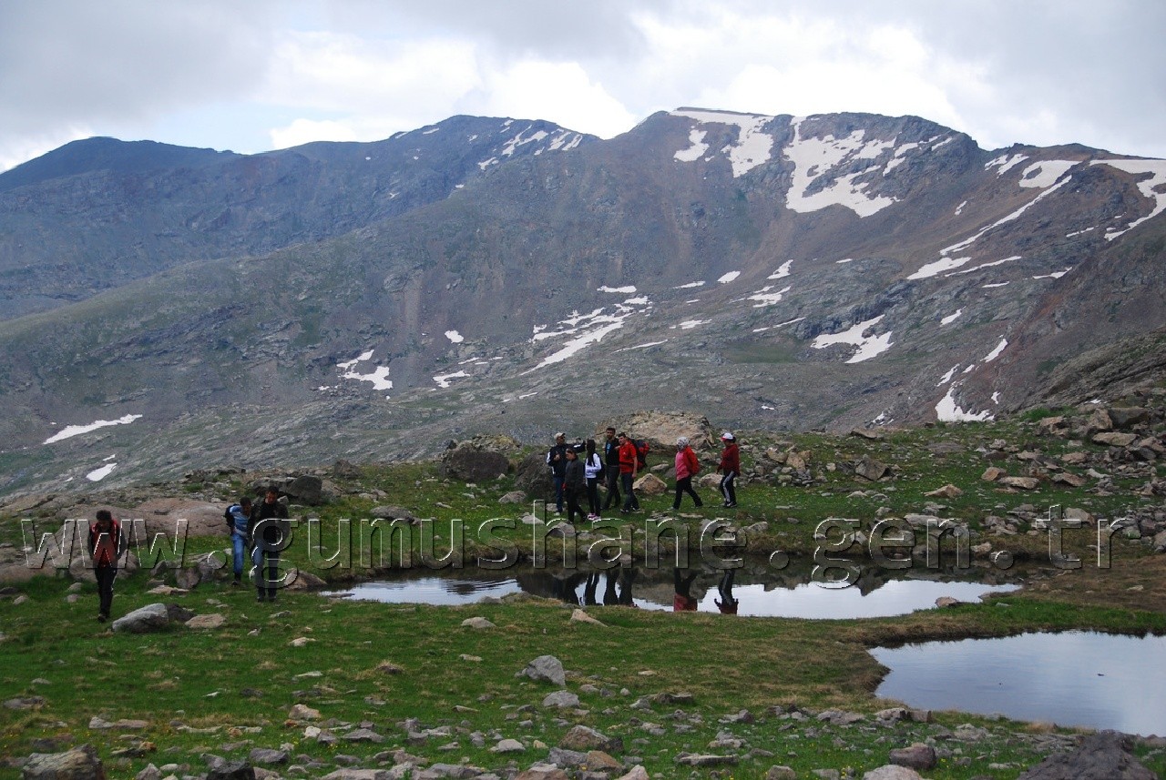 Akademisyenlerin Artabel İlgisi 11