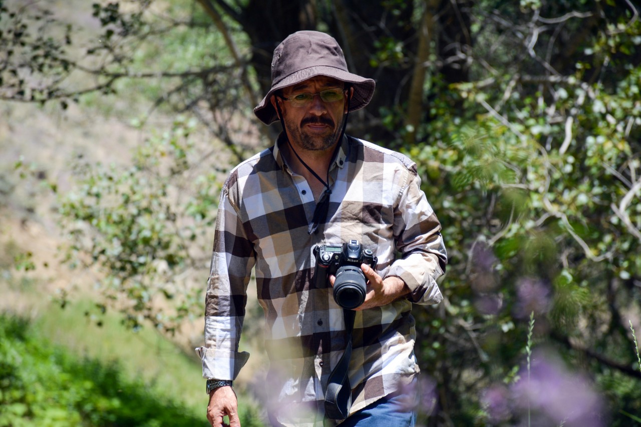 Gümüşhane 213 kelebek çeşidiyle Türkiye’nin en zengin ili 2