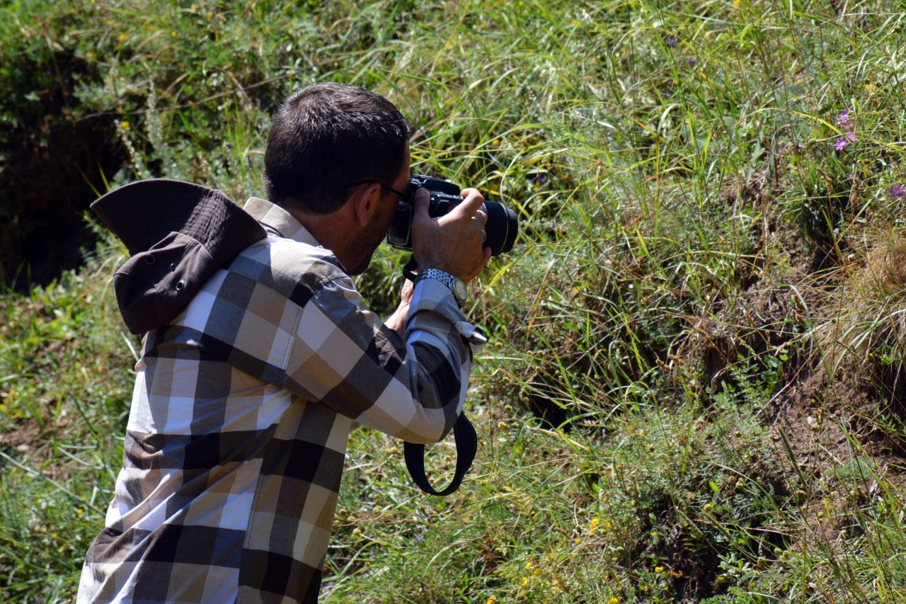 Gümüşhane 213 kelebek çeşidiyle Türkiye’nin en zengin ili 6