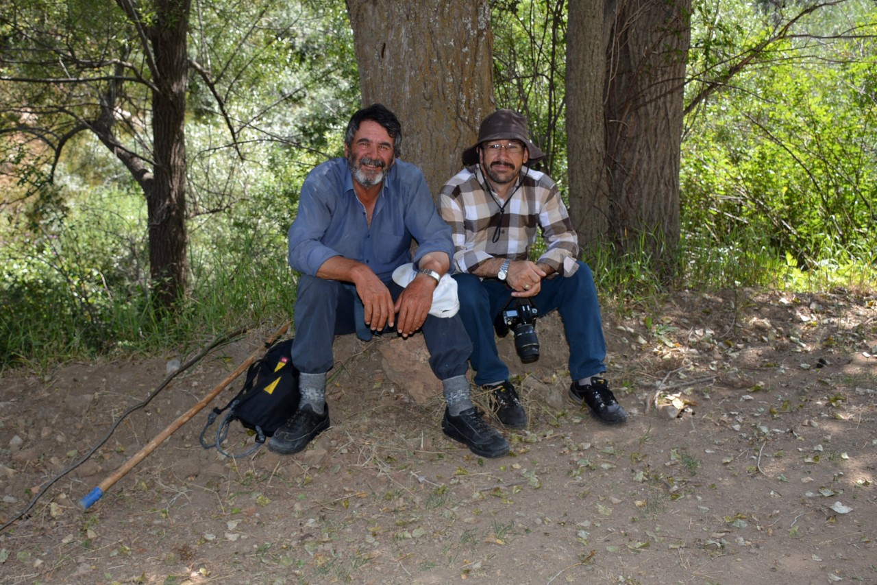 Gümüşhane 213 kelebek çeşidiyle Türkiye’nin en zengin ili 12