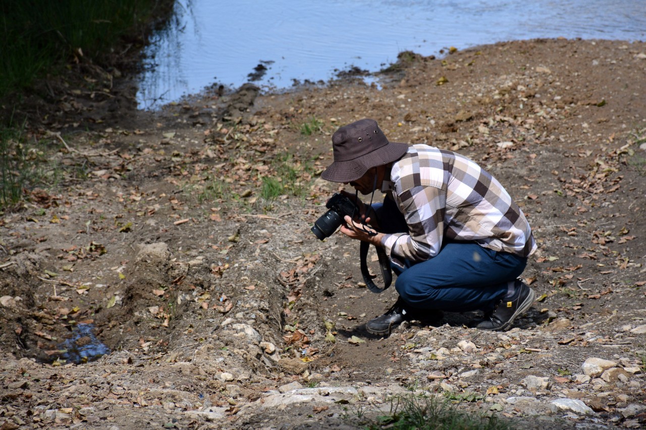 Gümüşhane 213 kelebek çeşidiyle Türkiye’nin en zengin ili 13