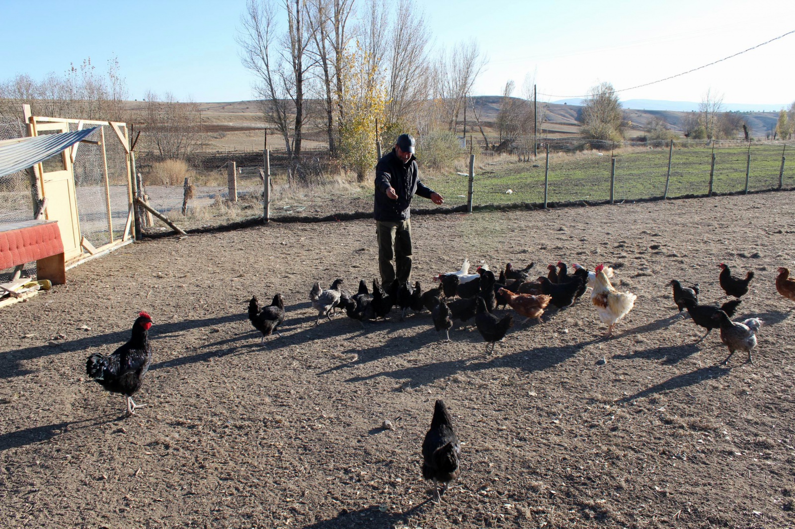 Emekli oldu, ‘boş durmak bana göre değil’ diyip tavuk çiftliği kurdu 5
