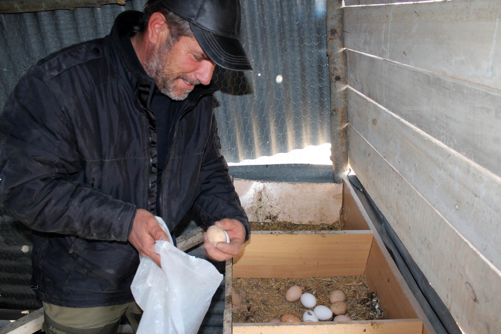 Emekli oldu, ‘boş durmak bana göre değil’ diyip tavuk çiftliği kurdu 1
