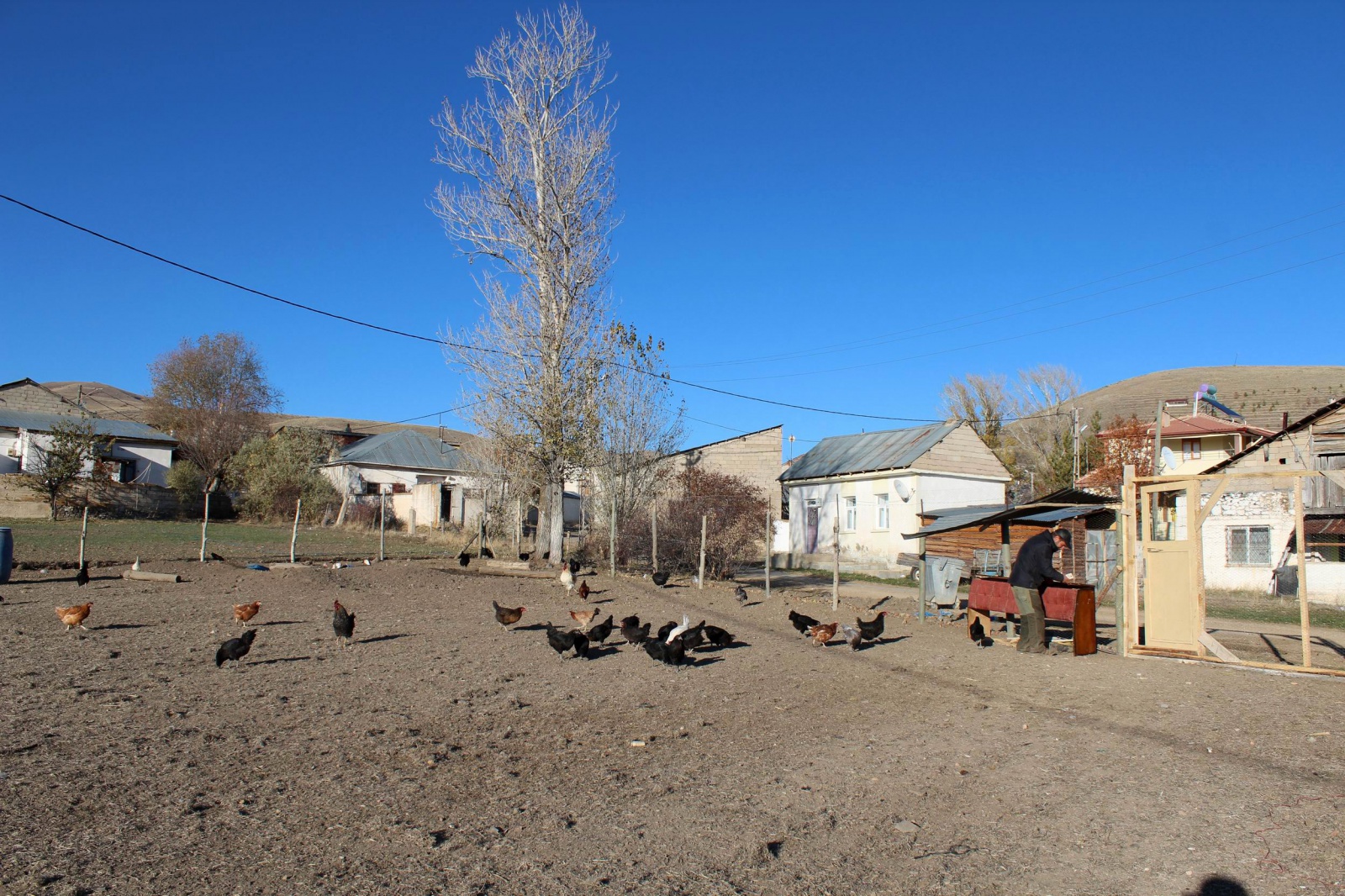 Emekli oldu, ‘boş durmak bana göre değil’ diyip tavuk çiftliği kurdu 3