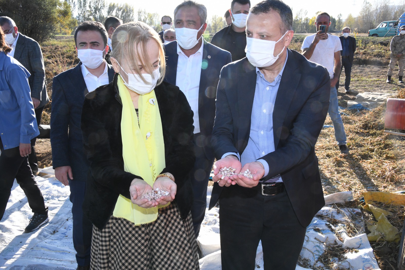 Vali Taşbilek Köse’de kuru fasulye hasadına katıldı 3