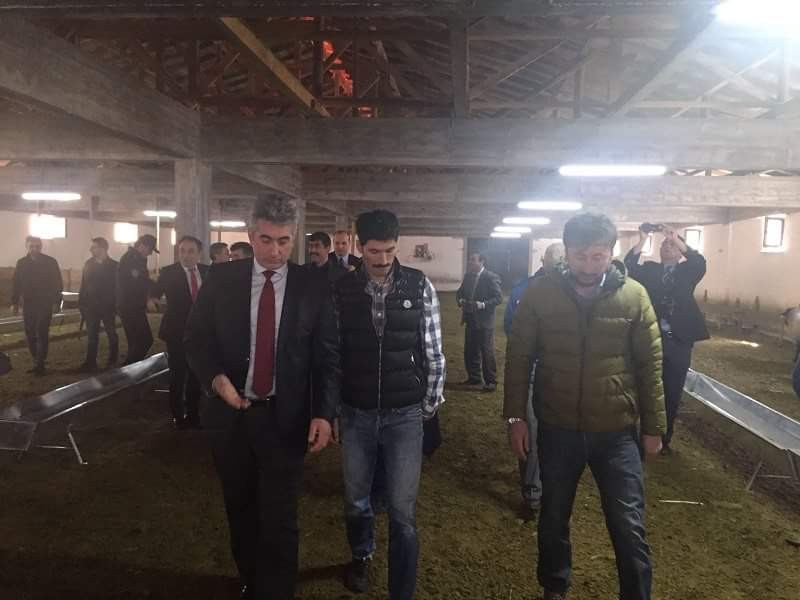 Torul’a 1 milyon liralık hayvancılık tesisi 2