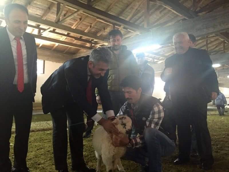 Torul’a 1 milyon liralık hayvancılık tesisi 3