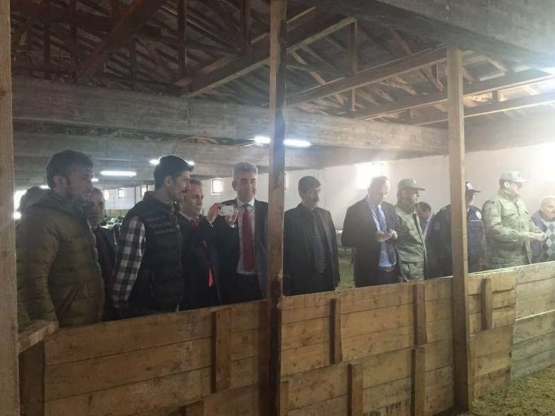 Torul’a 1 milyon liralık hayvancılık tesisi 5