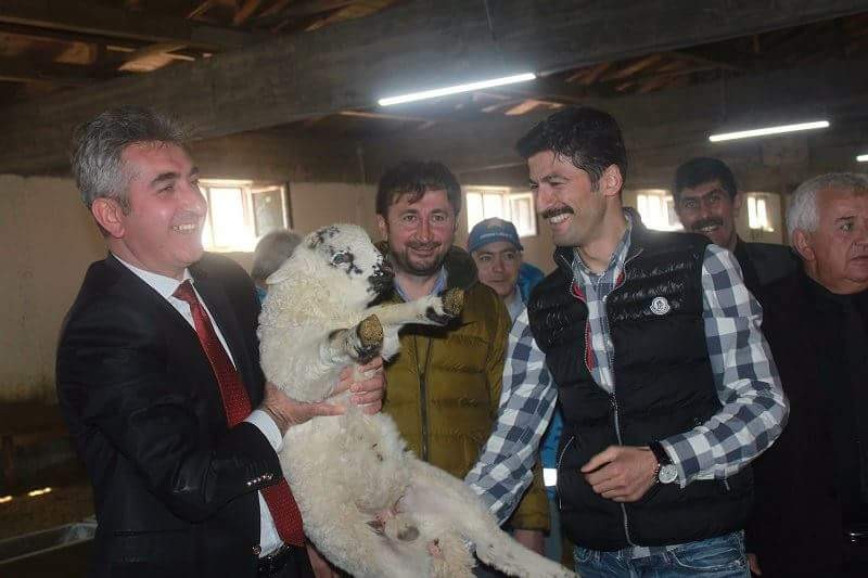 Torul’a 1 milyon liralık hayvancılık tesisi 8