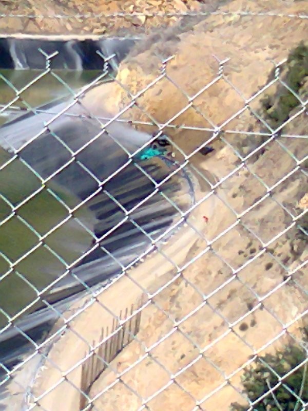 'Gümüşhane vahşi madenciliğe feda edilmeyecek kadar kıymetli' 10