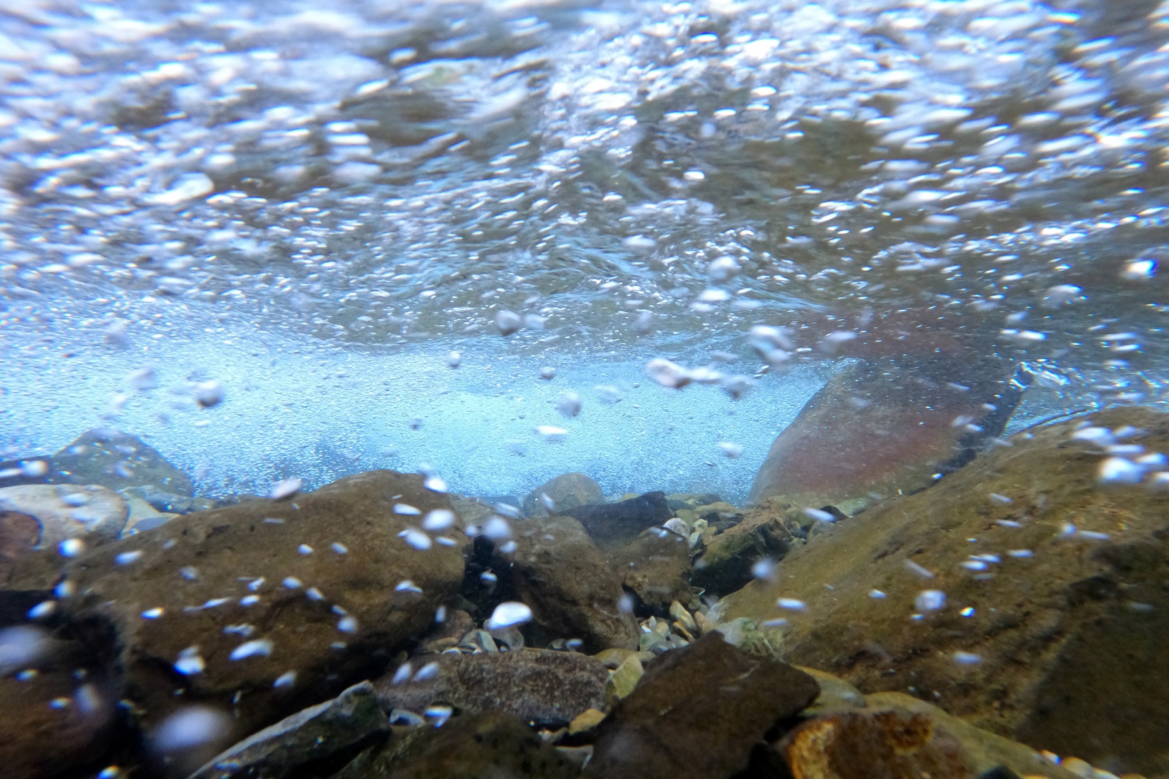 Serinlemek isteyen Tomara Şelalesi’nin yolunu tutuyor 8