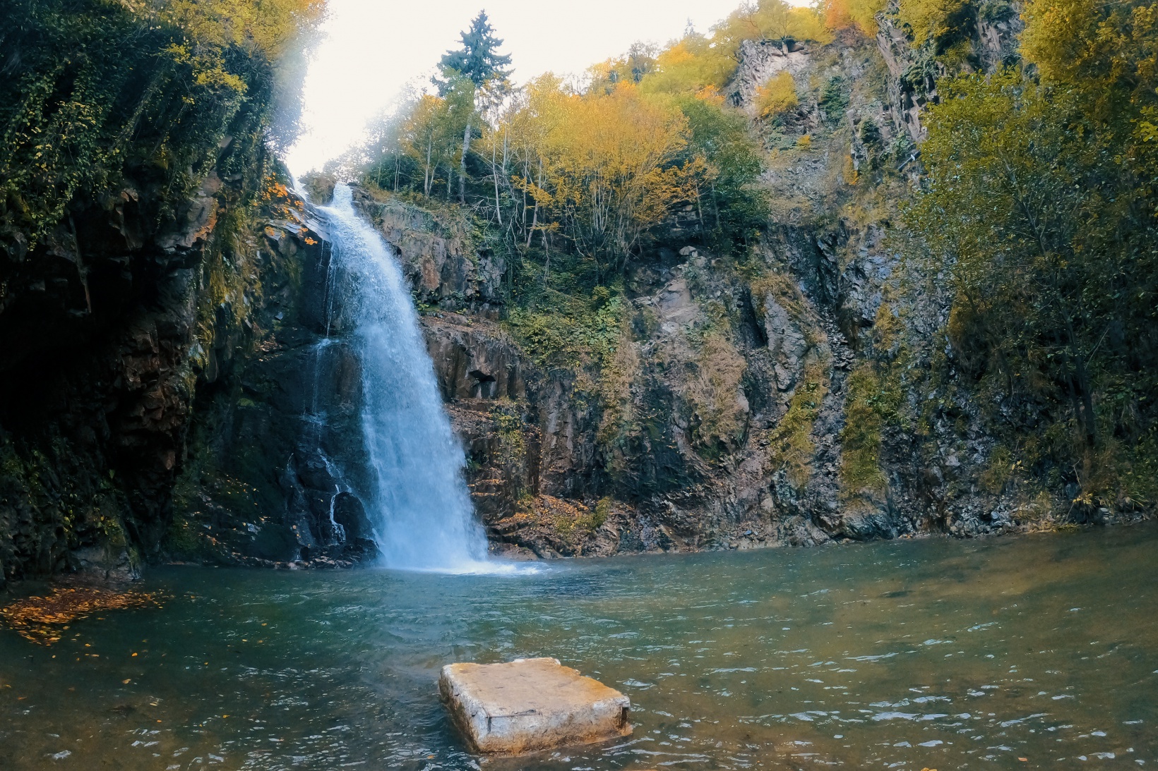 Örümcek Ormanları büyüleyici hale büründü 13