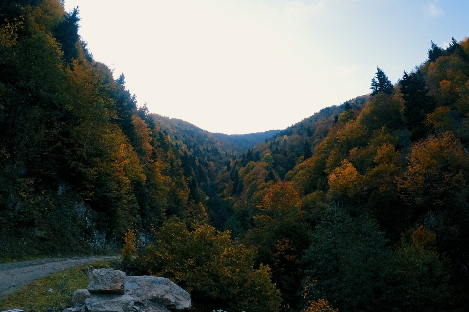 Örümcek Ormanları büyüleyici hale büründü 8