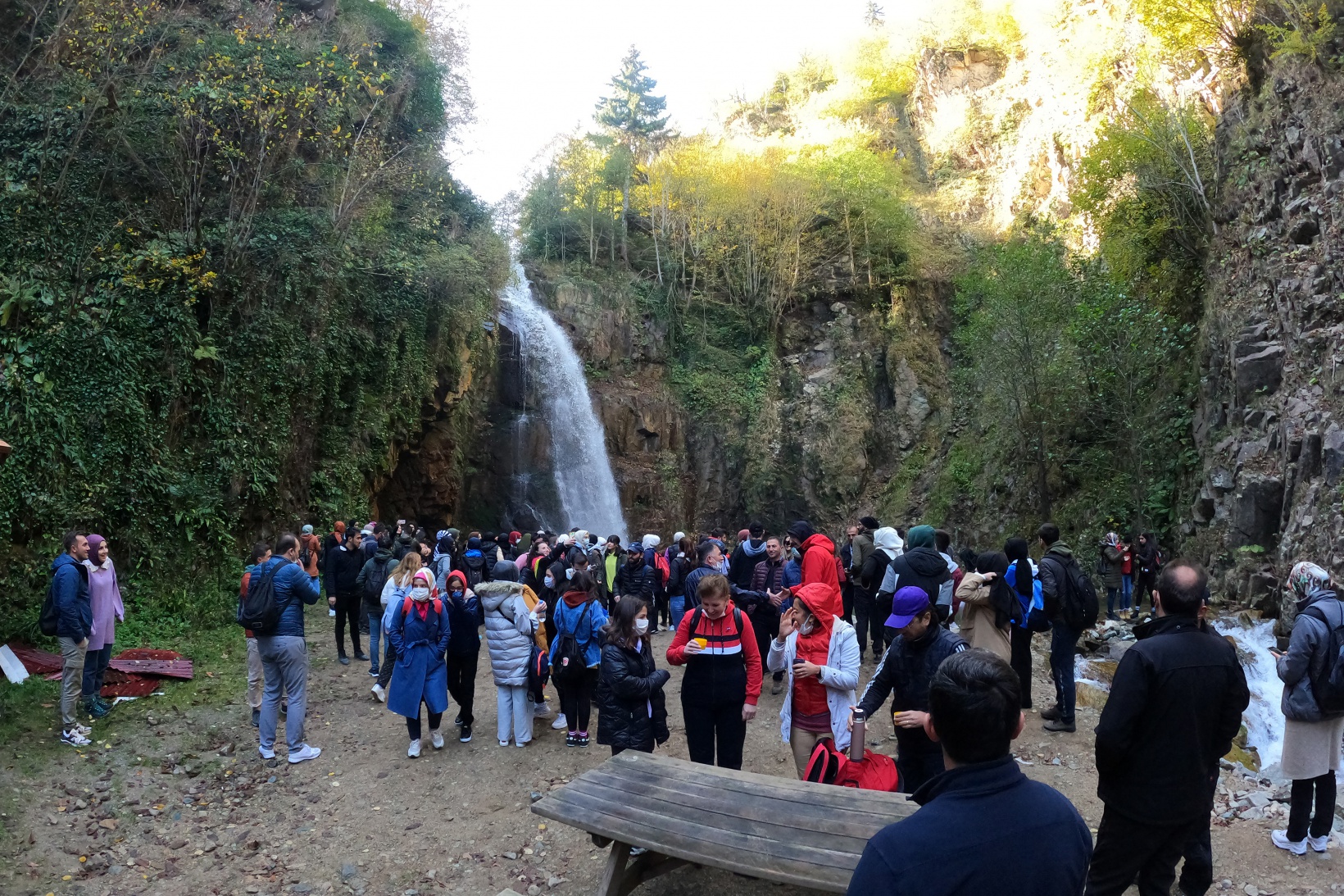 Görsel şöleni görmek için Örümcek Ormanlarına akın ettiler 5