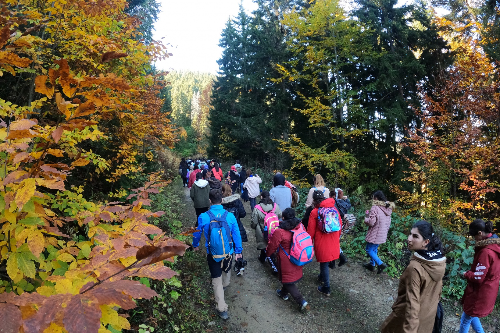 Eşsiz manzarayı görmek için canlı ağaç müzesine akın ettiler 29
