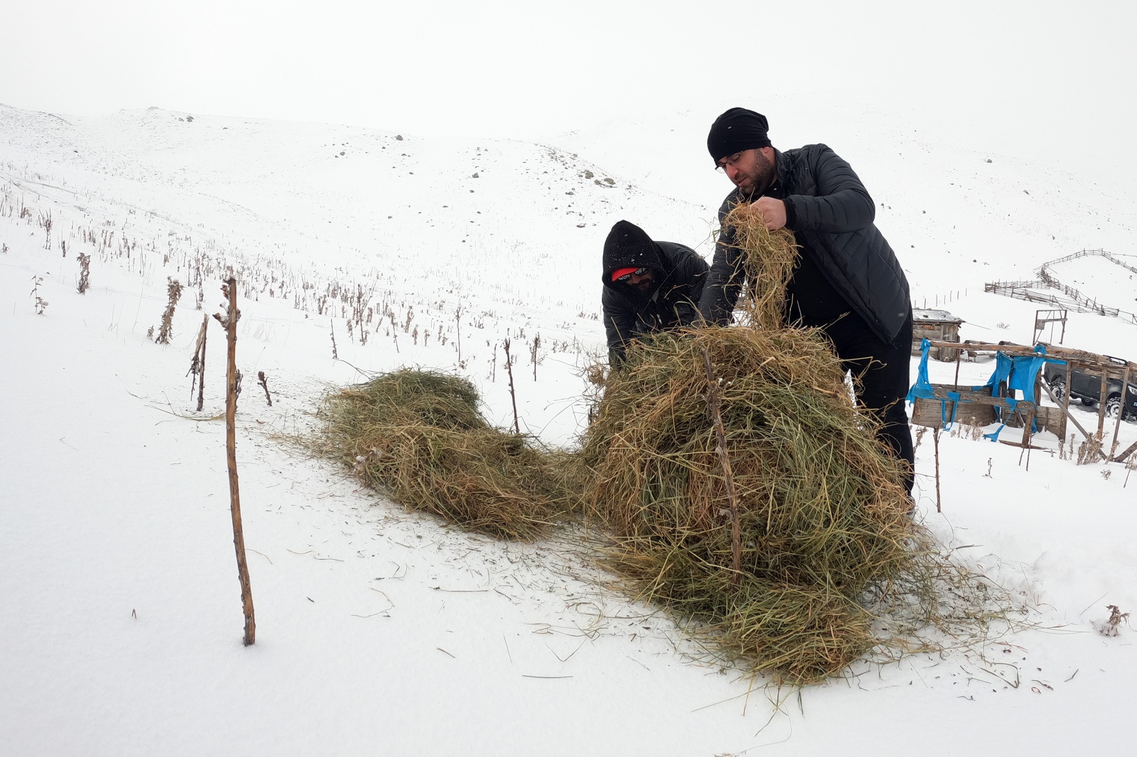 Zorlu yolları bu kez yaban hayvanları için aştılar 19