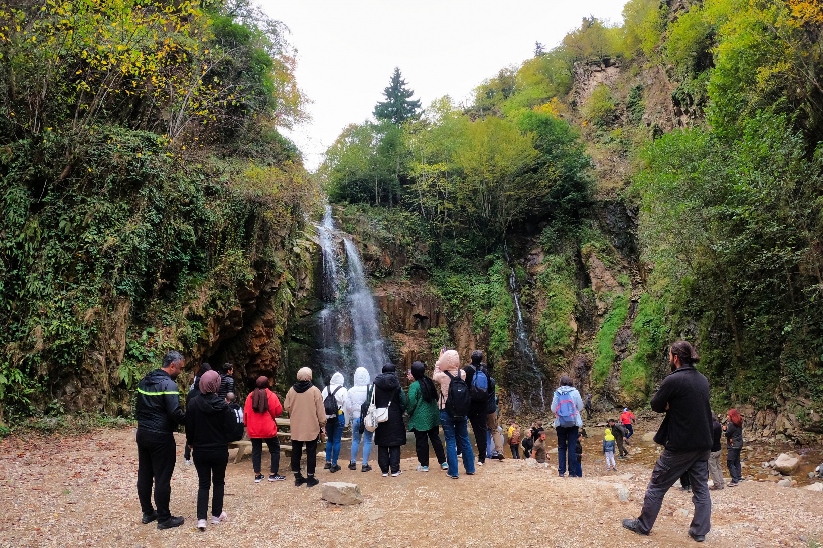 Doğa harikası Örümcek Ormanlarında renk cümbüşü başladı 46