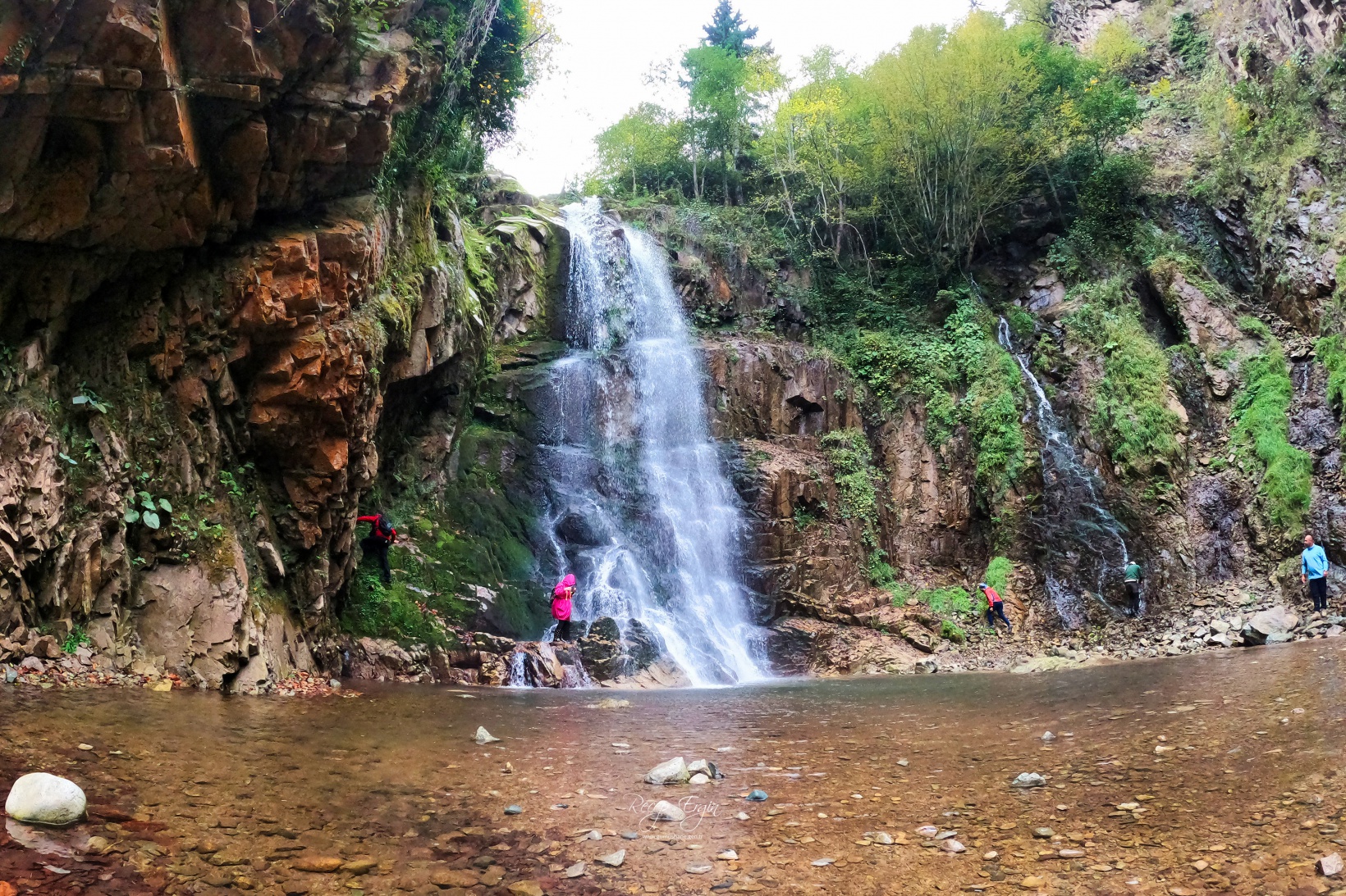 Doğa harikası Örümcek Ormanlarında renk cümbüşü başladı 10
