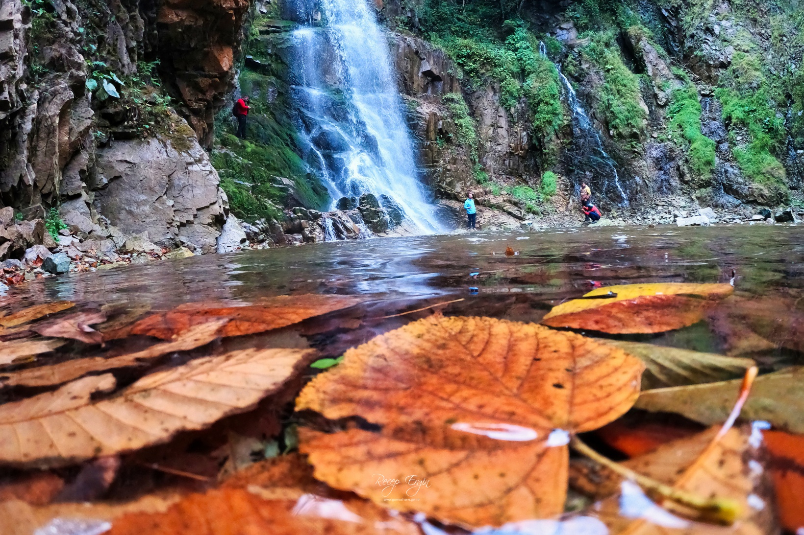 Doğa harikası Örümcek Ormanlarında renk cümbüşü başladı 40