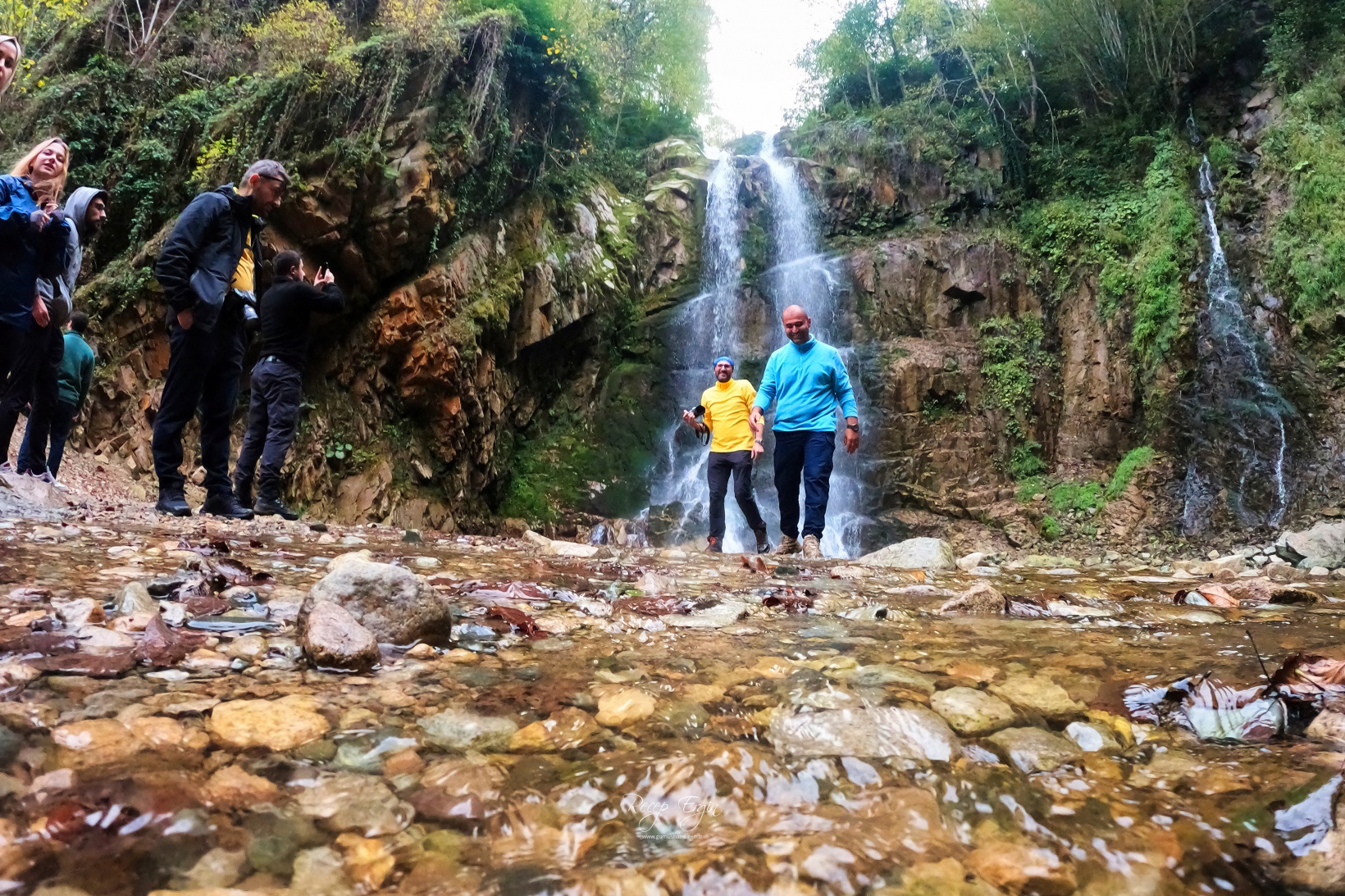 Doğa harikası Örümcek Ormanlarında renk cümbüşü başladı 19