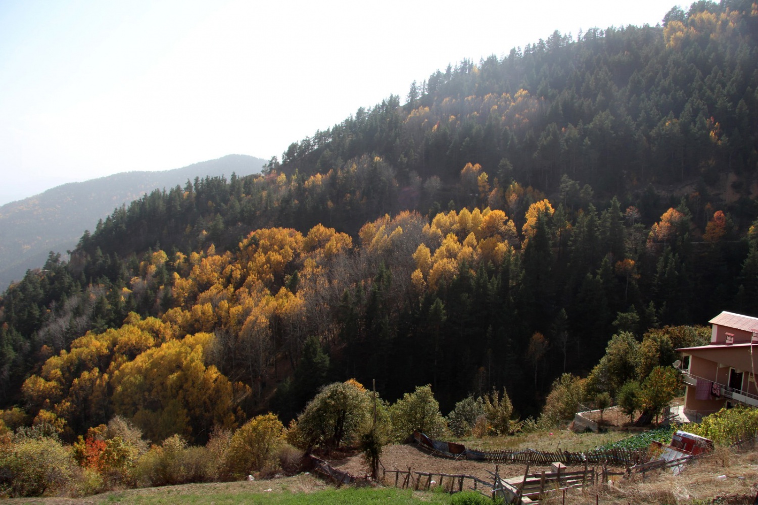 Gümüşhaneli dağcılardan sonbahar yürüyüşü 3