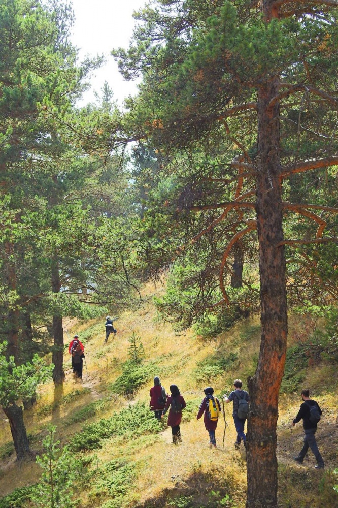 Gümüşhaneli dağcılardan sonbahar yürüyüşü 15