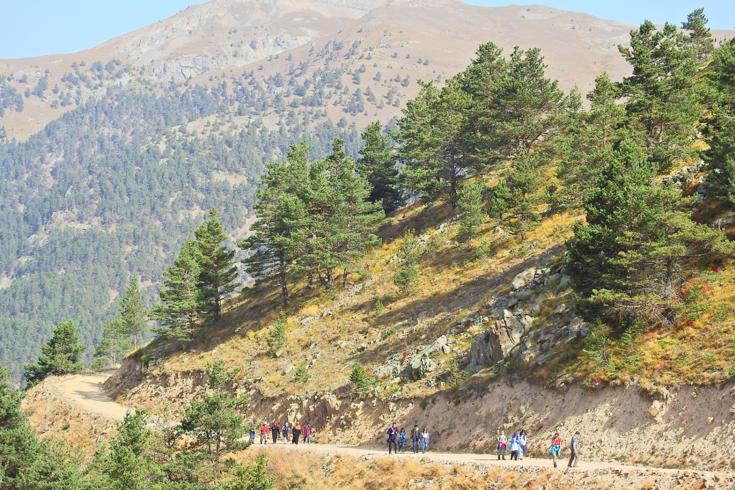 Gümüşhaneli dağcılardan sonbahar yürüyüşü 12