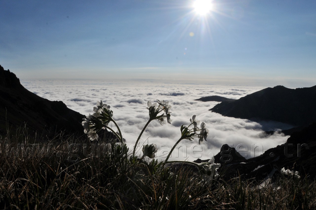 İstanbullu Dağcılar Gümüşhane'nin En Yüksek Zirvesinde 14