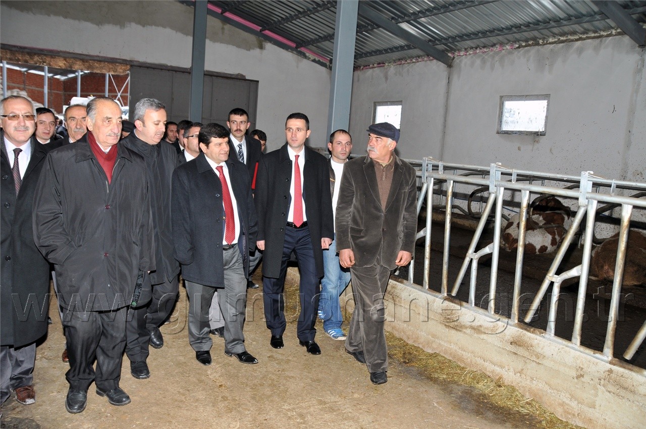 Köse'de 2 Milyon Liralık Çiftlik Açılışı Yapıldı 13