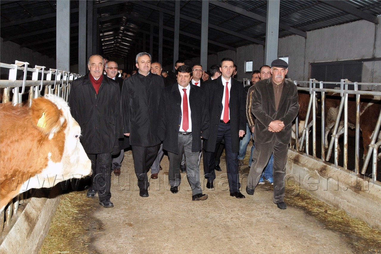 Köse'de 2 Milyon Liralık Çiftlik Açılışı Yapıldı 14