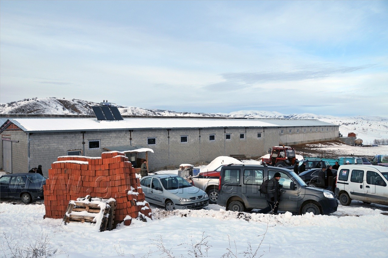 Köse'de 2 Milyon Liralık Çiftlik Açılışı Yapıldı 1