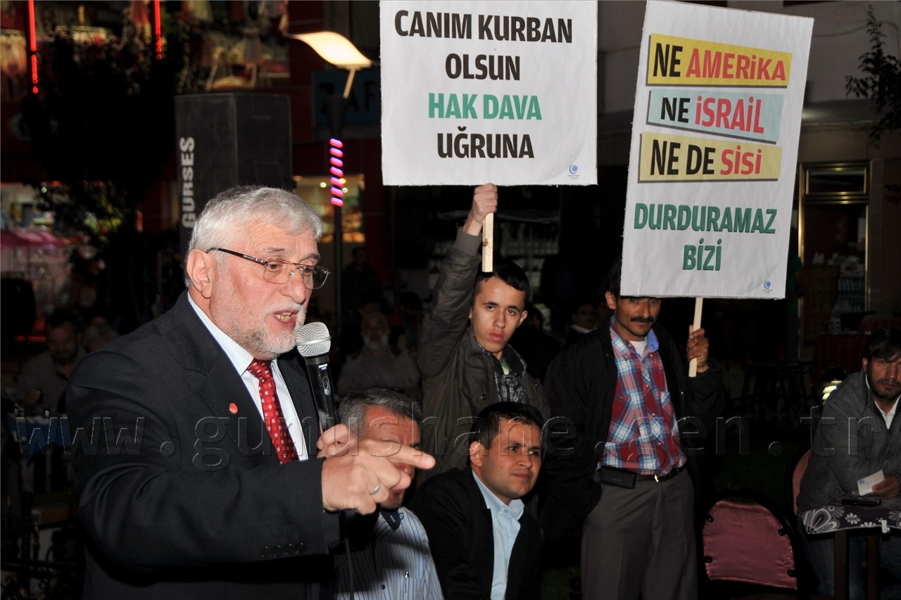  Gümüşhane AGD'den Mısır Eylemi  4