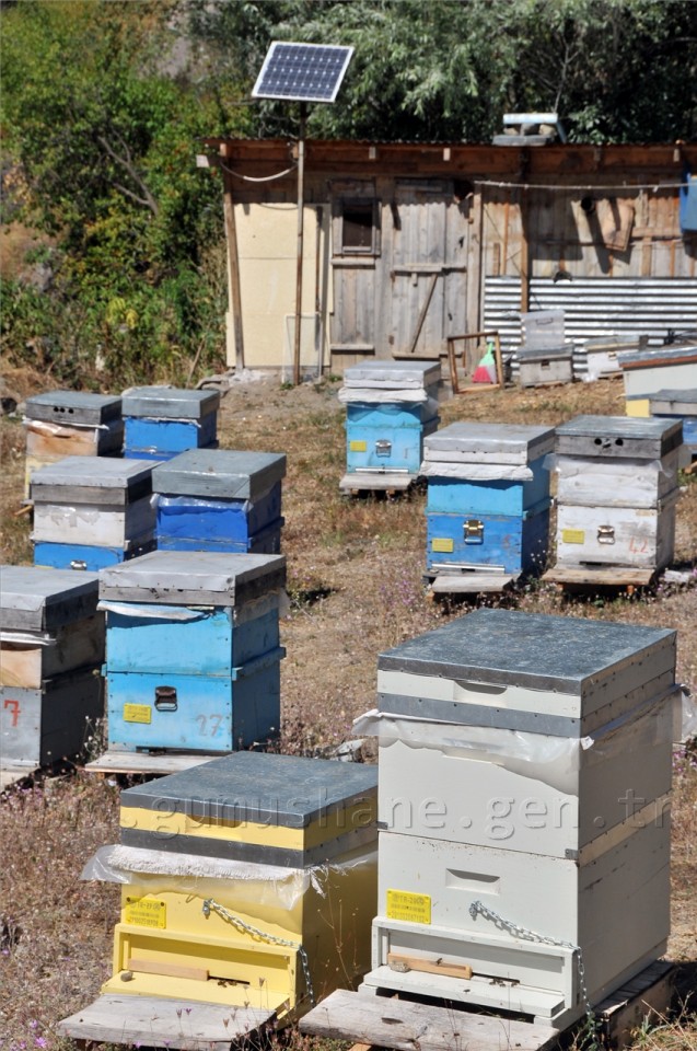 Ayıyla Mücadelede Güneş Enerjisi Dönemi 2