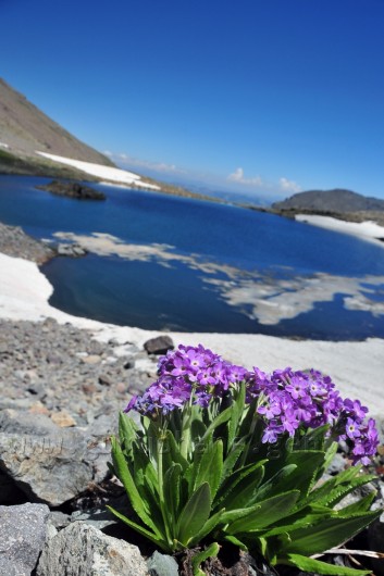 Gümüşhane'de Cennetten Bir Parça: Artabel Tabiat Parkı 9