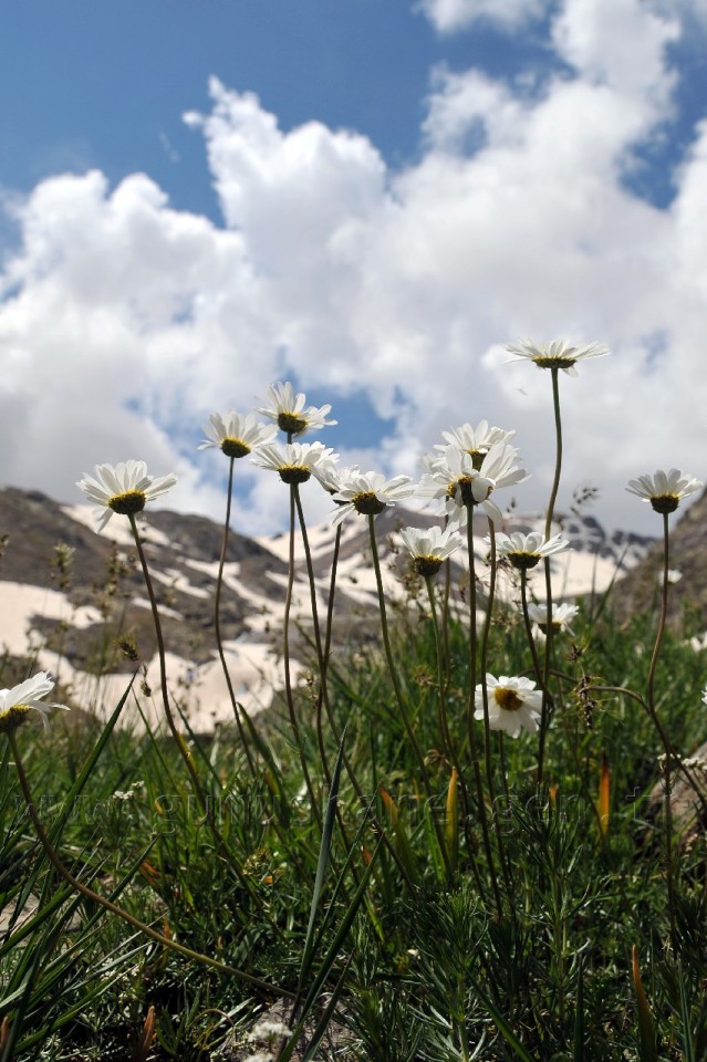Genç Dağcılar Artabel'de Kampa Katıldı 12