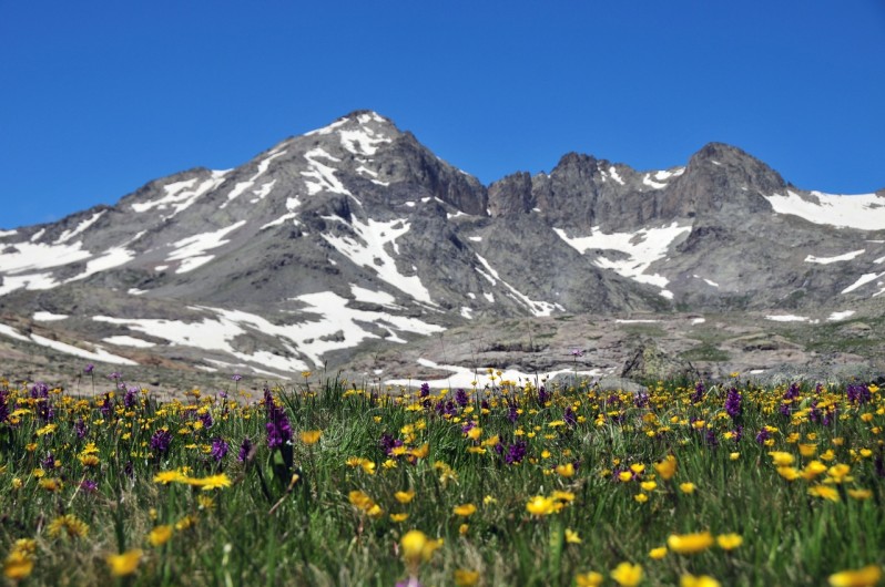 Gümüşhane'de Cennetten Bir Parça: Artabel Tabiat Parkı 13