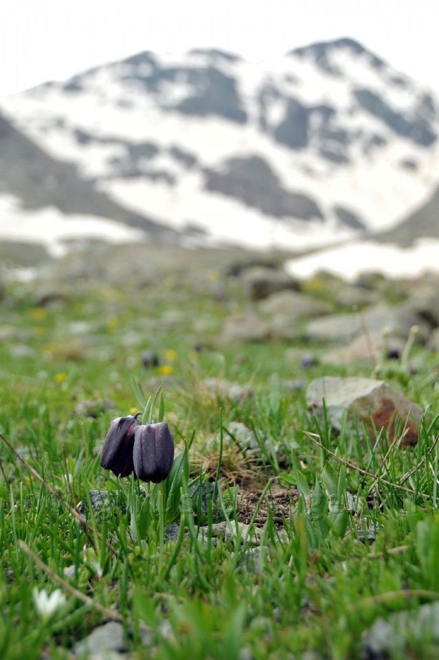 Genç Dağcılar Artabel'de Kampa Katıldı 16