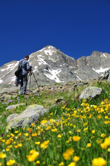 Gümüşhane'de Cennetten Bir Parça: Artabel Tabiat Parkı 3