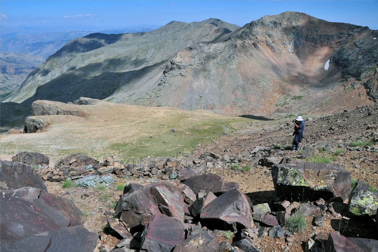 Artabel'de Şehitlik Araştırması Yapıldı 4