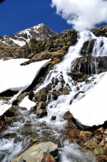 Gümüşhane'de Cennetten Bir Parça: Artabel Tabiat Parkı 5