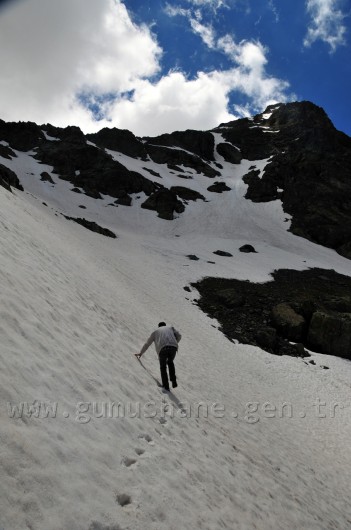 Gümüşhane'de Cennetten Bir Parça: Artabel Tabiat Parkı 7