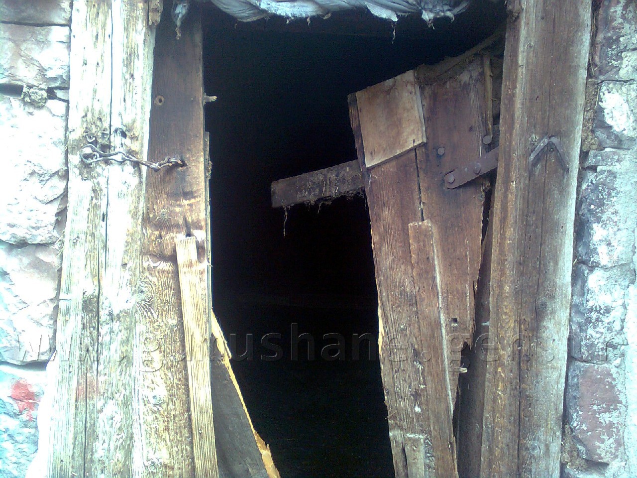 Gümüşhane'de Ayılar Köylere İnmeye Başladı 1