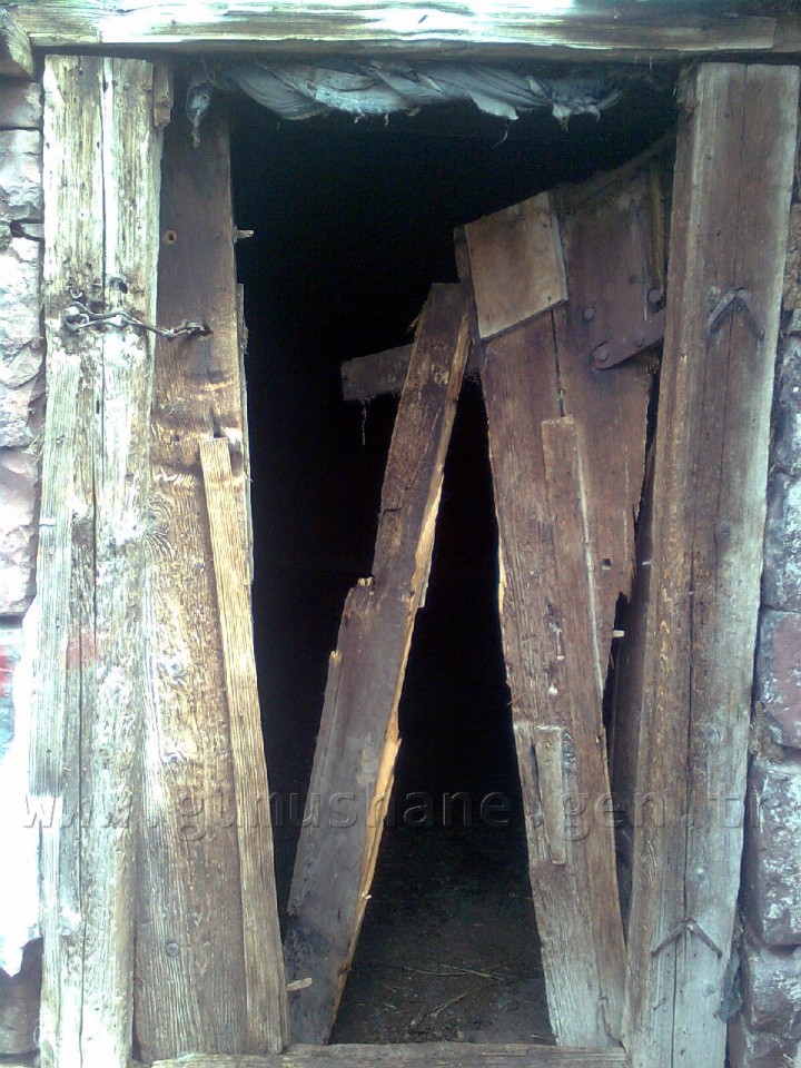 Gümüşhane'de Ayılar Köylere İnmeye Başladı 2