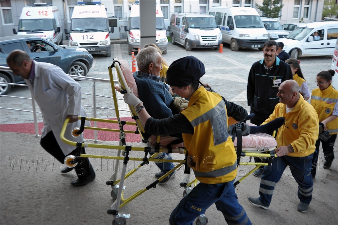Mantar Toplamaya Giden Vatandaşa Ayı Saldırdı 3